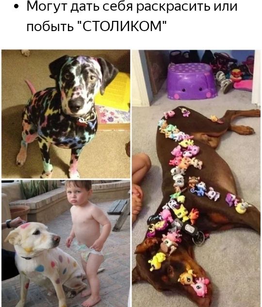 Могут дать сеоя раскрасить ипи побыть СТОЛИКОМ