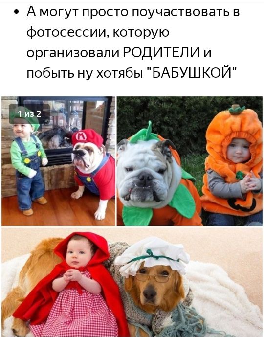 о А могут просто поучаствовать в фотосессии которую организовали РОДИТЕЛИ и побыть ну хотябы БАБУШКОЙ