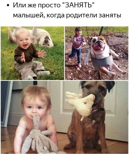0 Или же просто ЗАНЯТЬ малышей когда родители заняты