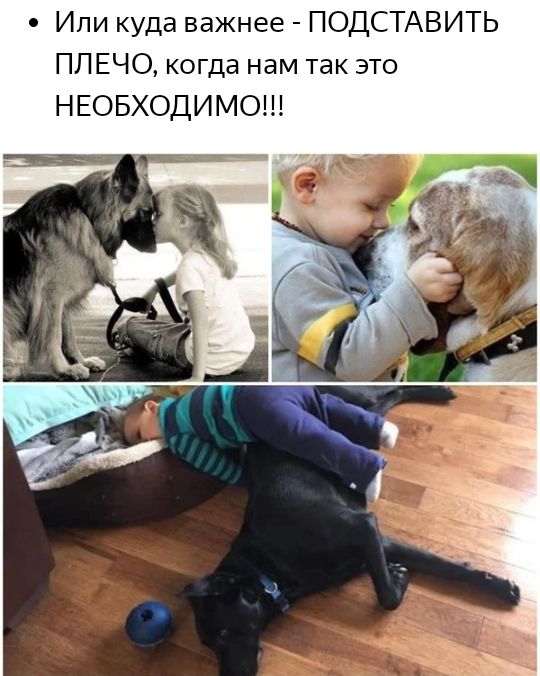 Ипи куда важнее ПОДСТАВИТЬ ПЛЕЧО когда нам так это НЕОБХОДИМО
