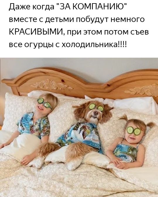 Даже когда ЗА КОМПАНИЮ вместе с детьми побудут немного КРАСИВЫМИ при этом потом съев все огурцы с холодильникаіш