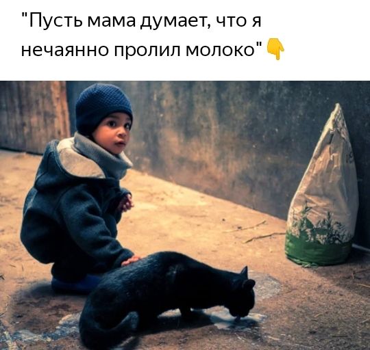 Пусть мама думает что я нечаянно пропил мопоко