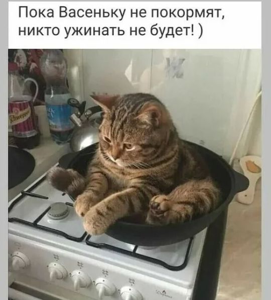 Пока Васеньку не покормят никто ужинать не будет