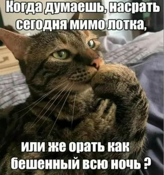 или же опять наи башенный всю ночь 9
