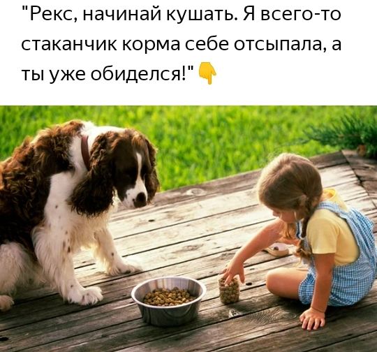 Рекс начинай кушать Я всего то стаканчик корма себе отсыпапа а ты уже обиделся