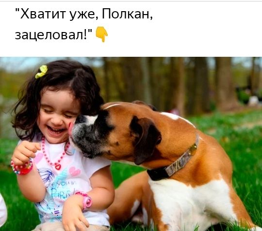 Хватит уже Полкан зацеповап