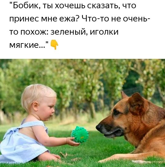 Бобик ты хочешь сказать что принес мне ежа Что то не очень то похож зеленый игопки мягкие