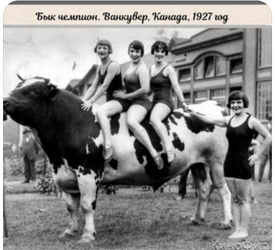 'бык чемлион. 'ванкубвер, 'канада, 1927 10ф