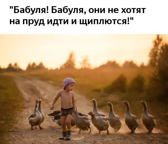 Бабуля Бабуля они не хотят на пруд идти и щиплются