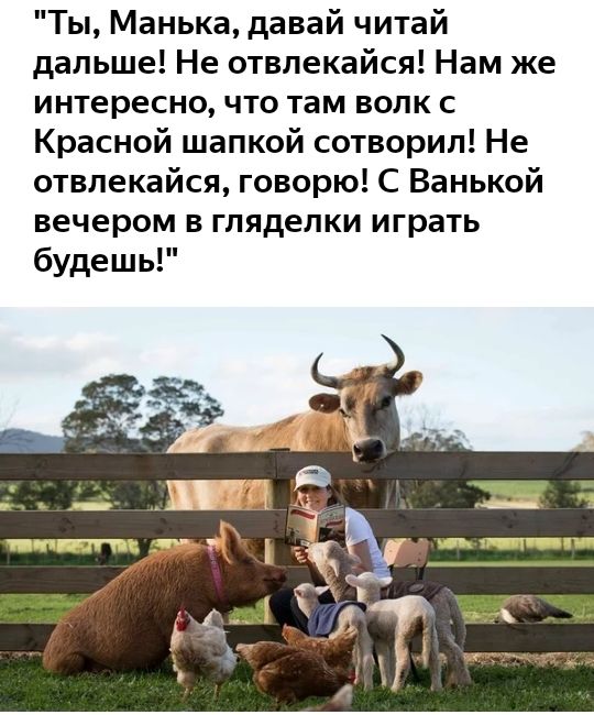 Ты Манька давай читай дальше Не отвлекайся Нам же интересно что там волк с Красной шапкой сотворил Не отвлекайся говорю С Ванькой вечером в гляделки играть будешь