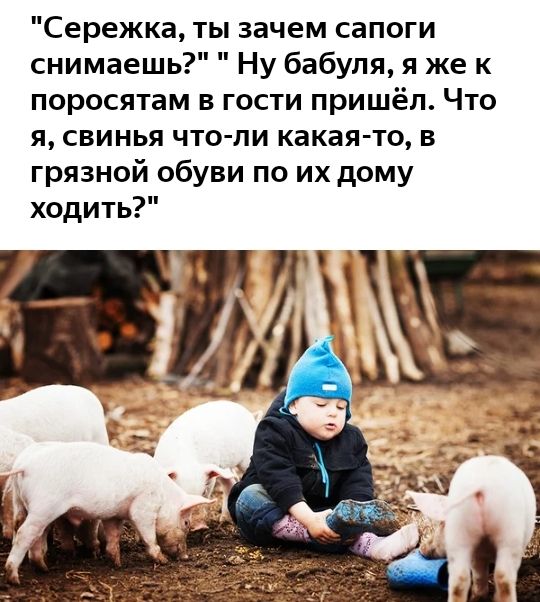 Сережка ты зачем сапоги снимаешь Ну бабуля я же к поросятам в гости пришёл Что я свинья что ли какая то в грязной обуви по их дому ходить