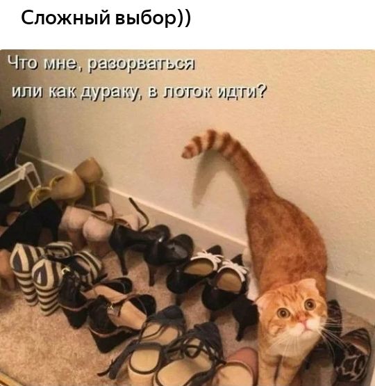 Сложный выбор Чт мне разорится или как дураку а лагшс идти