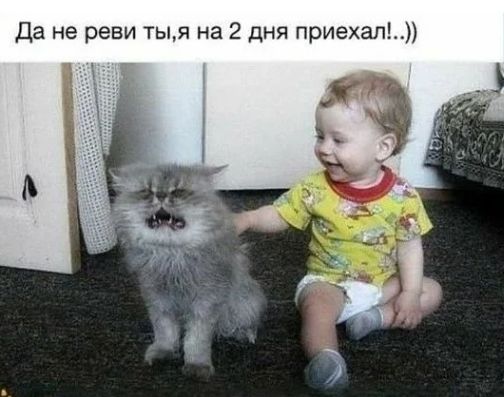 Да не реви тым на 2 дня приехал