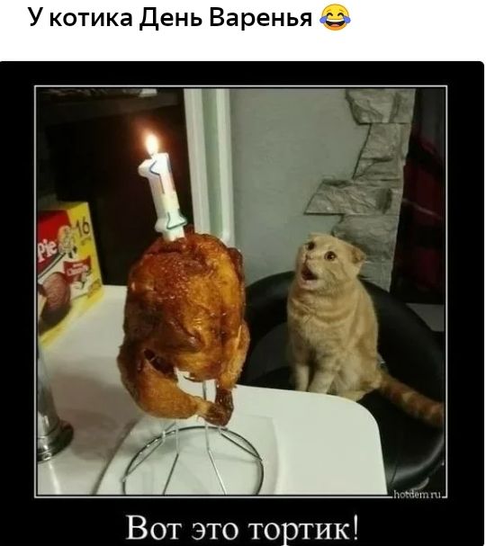 У котика День Варенья З гу Ч я Вот это тортик