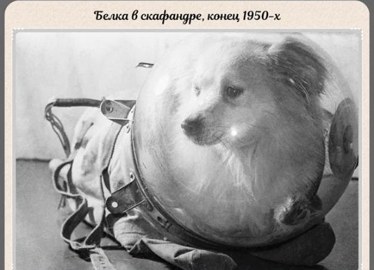 Белкл вскдфшщре ктшц 1950 х