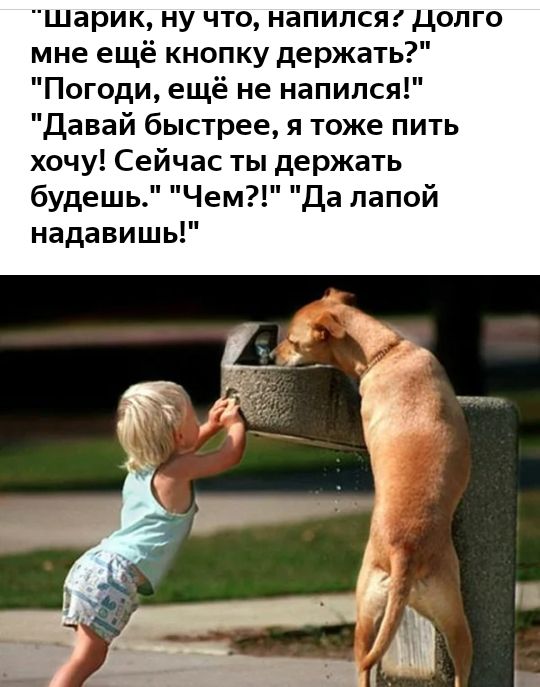 шарик ну что напилсяг долго мне ещё кнопку держать Погоди ещё не напился Давай быстрее я тоже пить хочу Сейчас ты держать ем Да лапой