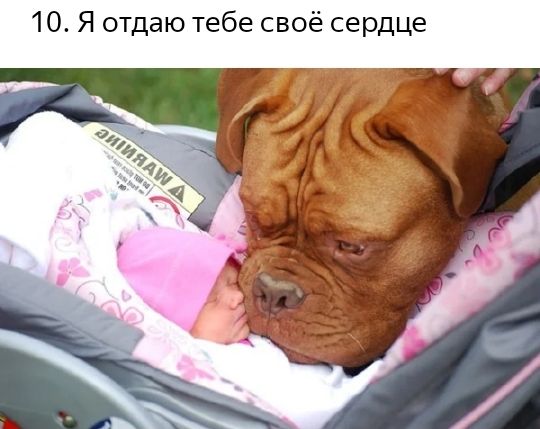 10 Я отдаю тебе своё сердце г