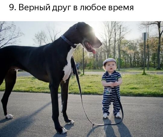 9 Верный друг в любое время