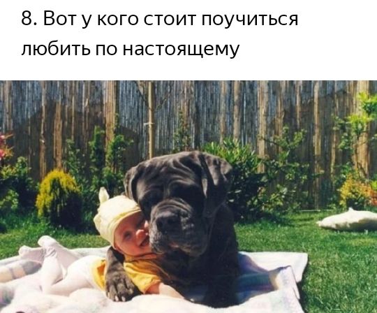 8 Вот у кого стоит поучиться любить по настоящему