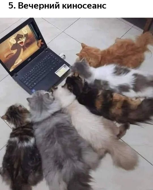 5 Вечерний киносеанс