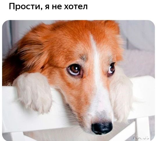 ПРОСТИ Я не ХОТЕЛ