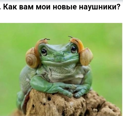 Как вам мои новые наушники