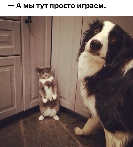 А мы тут просто играем х
