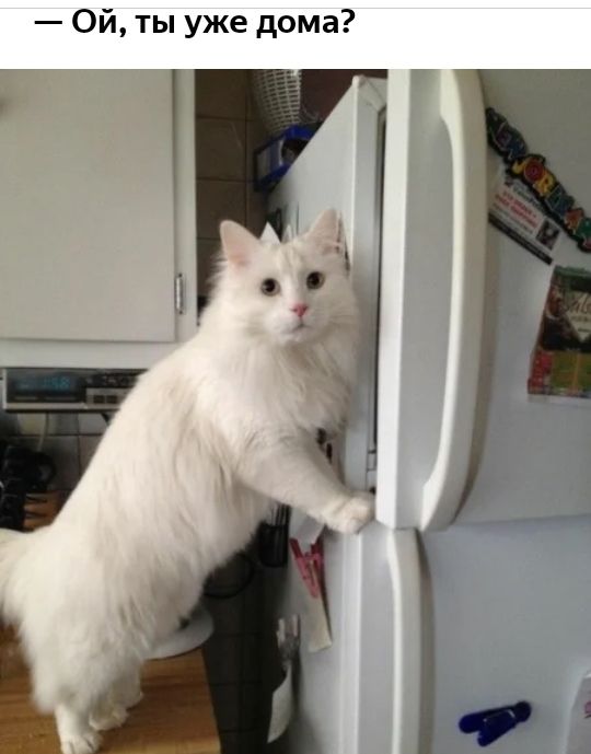 Ой ты уже дома