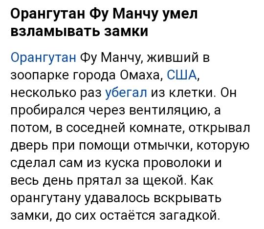 Орангутан Фу Манчу умел взламывать замки Орангутан Фу Манчу живший в зоопарке города Омаха США несколько раз убегал из клетки Он пробирался через вентиляцию а потом в соседней комнате открывал дверь при помощи отмычки которую сделал сам из куска проволоки и весь день прятал за щекой Как орангутану удавалось вскрывать замки до сих остаётся загадкой