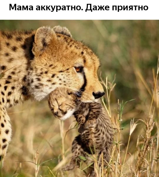 Мама аккуратно Даже приятно