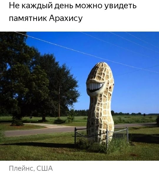 Не каждый день можно увидеть памятник Арахису