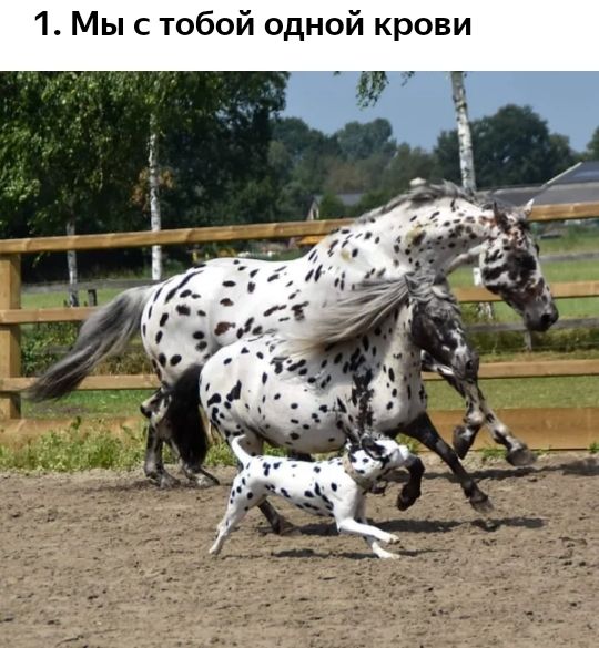 И В 0 В К И О Н д 0 И 1 Мыс тобо