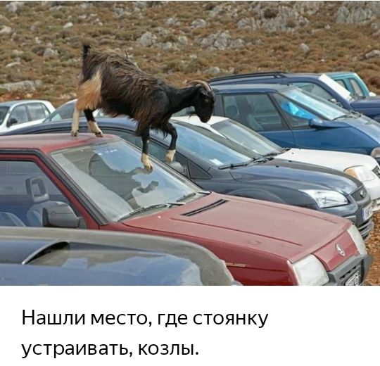 НдШПИ МЕСТО где СТОЯНКУ устраивать КОЗЛЫ