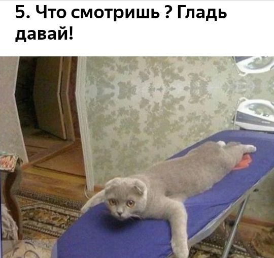 5 Что смотришь Гладь