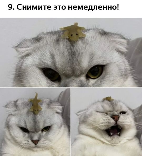 9 Снимите это немедленно