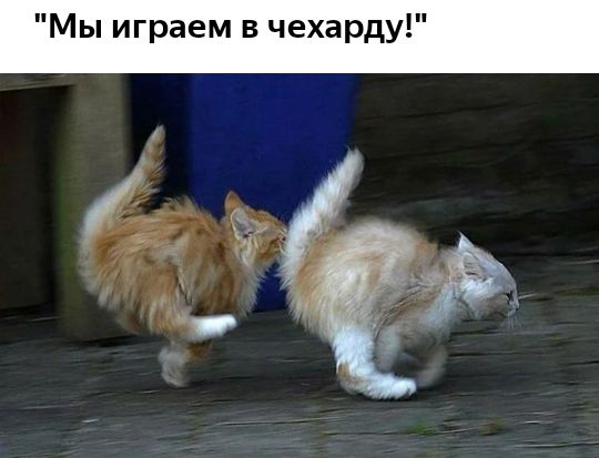 Мы играем в чехарду