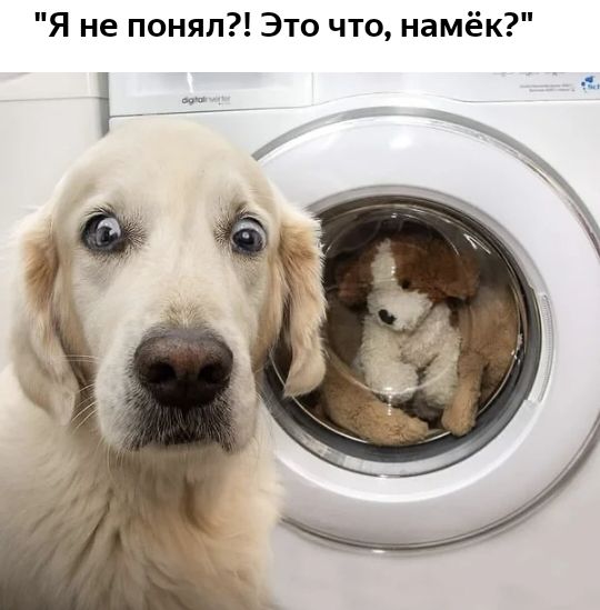 Я не понял Это что намёк