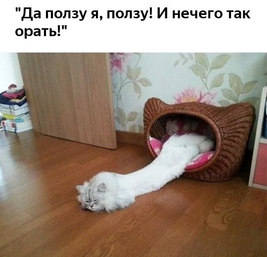 Да ползу я ползу И нечего так