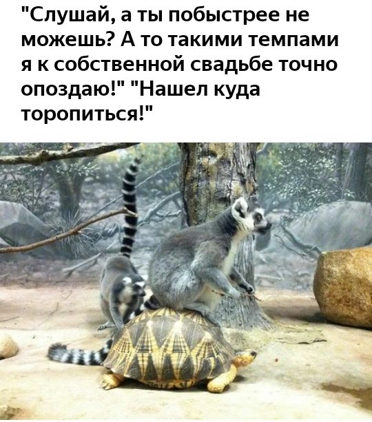 Слушай а ты побыстрее не можешь А то такими темпами я к собственной свадьбе точно опоздаю Нашел куда торопиться