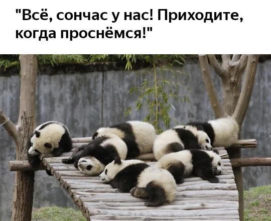 Всё сончас у нас Приходите когда проснёмся