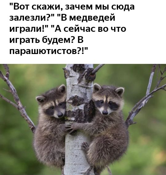 Вот скажи зачем мы сюда В медведей играли сейчас во что играть будем В парашютистов