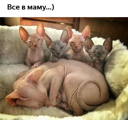під д_ Щ 4 О