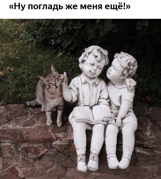 Ну погладь же меня ещё