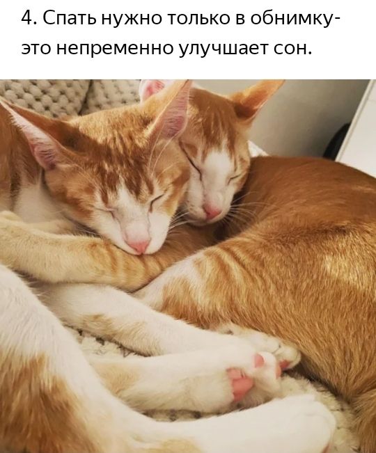 4 Спать нужно только в обнимку это непременно улучшает сон