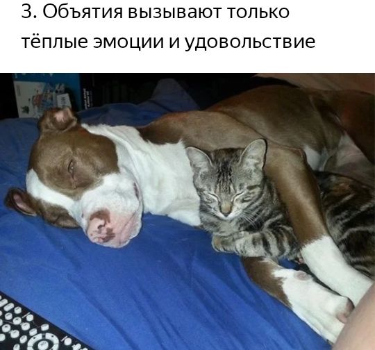 З Объятия вызывают только тёплые эмоции и удовольствие