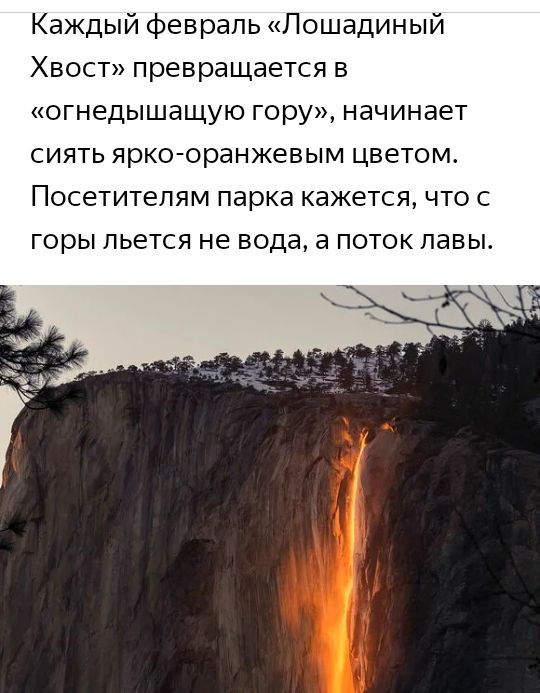 Каждый февраль Лошадиный Хвост превращается в огнедышащую гору начинает С ЯТЬ ярко оранжевым цветом ПОСЭТИТеПЯМ парка кажется ЧТО С ГОРЫ льется не ВОДЕ а ПОТОК павы