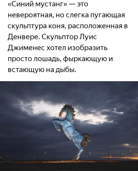 Синий мустанг это невероятная но слегка пугающая скульптура коня расположенная в Денвере Скульптор Луис Джименес хотел изобразить просто лошадь фыркающую и встающую на дыбы