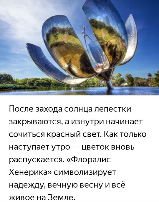ПОСЛЕ ЗЭХОДЭ сопнца лепестки закрываются а изнутри начинает сочиться красный свет Как только наступает утро цветок вновь распускается Фпоралис Хенерика символизирует надежду вечную весну и всё живое на Земле