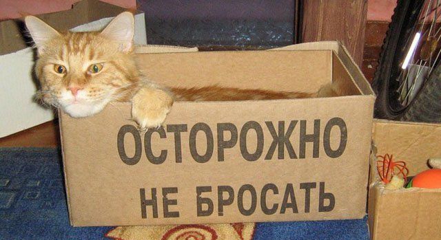 МНЕ вросдть