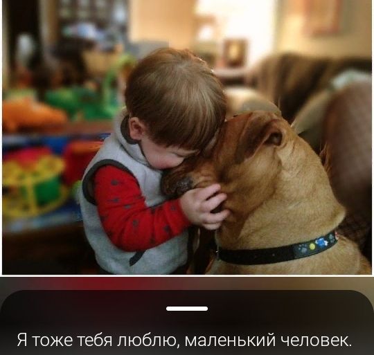 Я тоже тебя люблю маленький человек